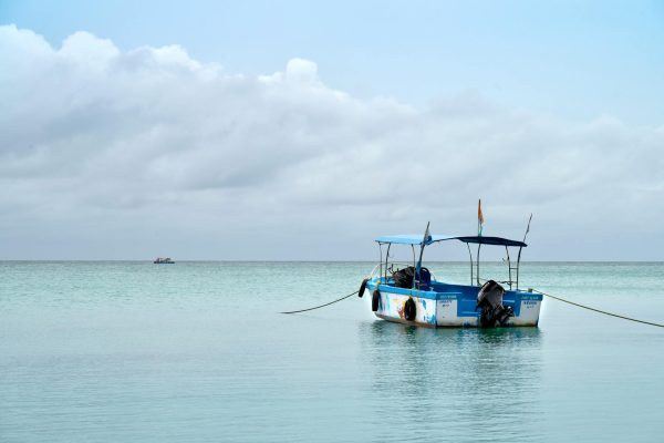 pexels-jayanth-muppaneni-1883885743-30658207